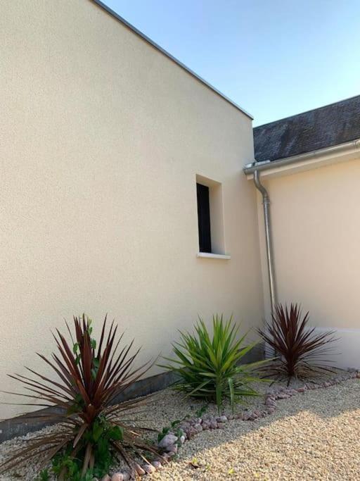 Châtellerault Villa Chic 3 Chambres ,2 Sdb מראה חיצוני תמונה